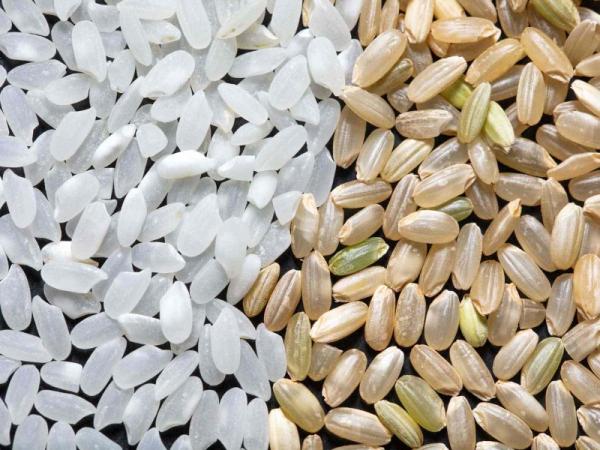 مشخصات برنج نیم دانه