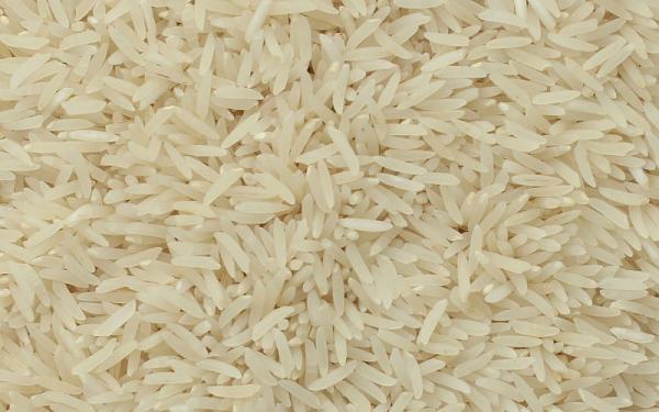 برنج طارم امیری