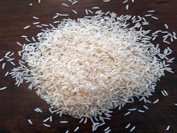 برنج شیرودی استخوانی