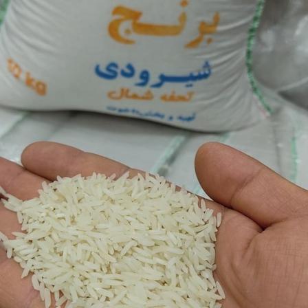 مشخصات برنج شیرودی مازندران