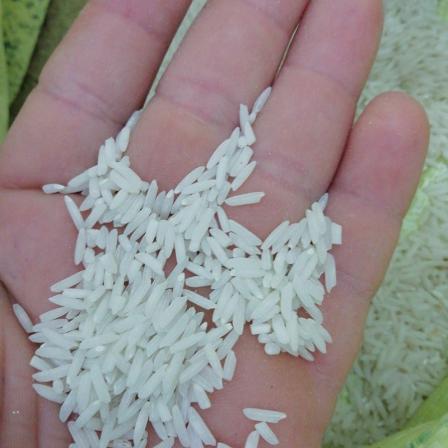 برنج شیرودی دانه بلند
