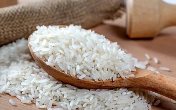 مشخصات برنج فجر محلی