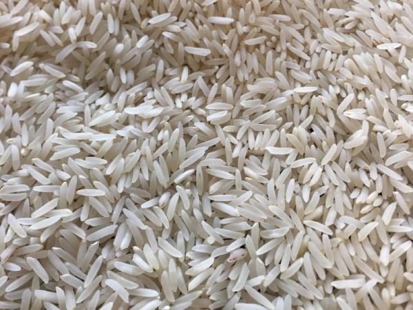 خرید برنج فجر خوشپخت گرگان