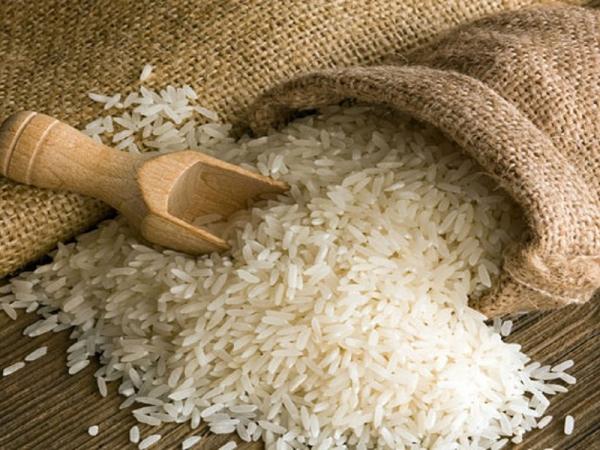 برنج شیرودی شمال