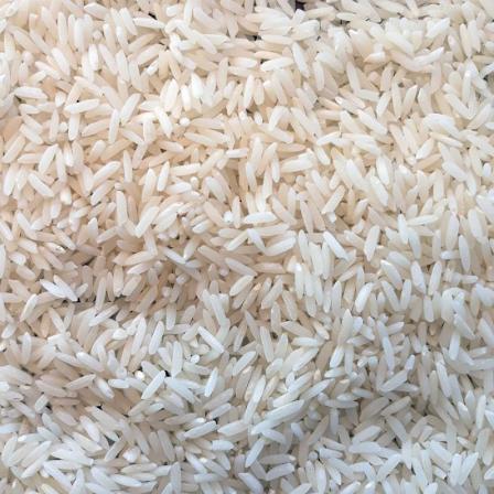 خرید برنج کامفیروز فارس