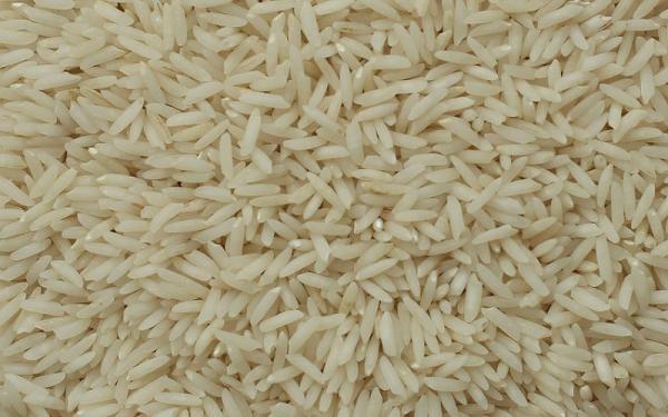 برنج طارم دیلمانی