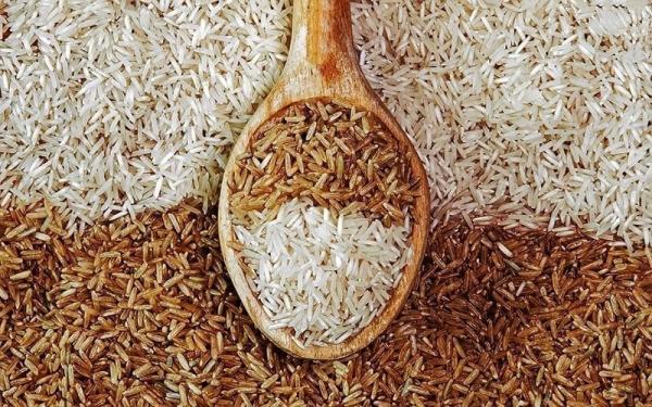 مشخصات برنج قهوه ای جنوب