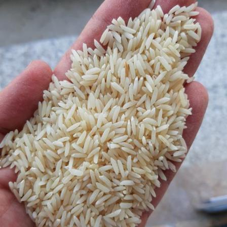 خرید برنج دم سیاه رشت