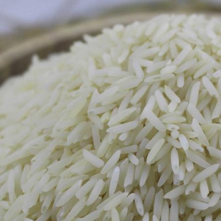 مشخصات برنج دم سیاه آستانه اشرفیه