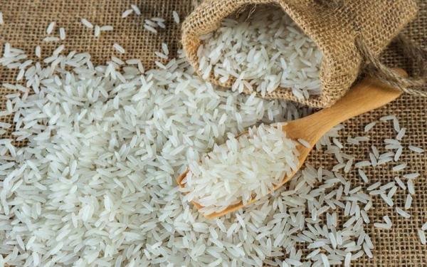 قیمت برنج دم سیاه ایرانی + خرید و فروش