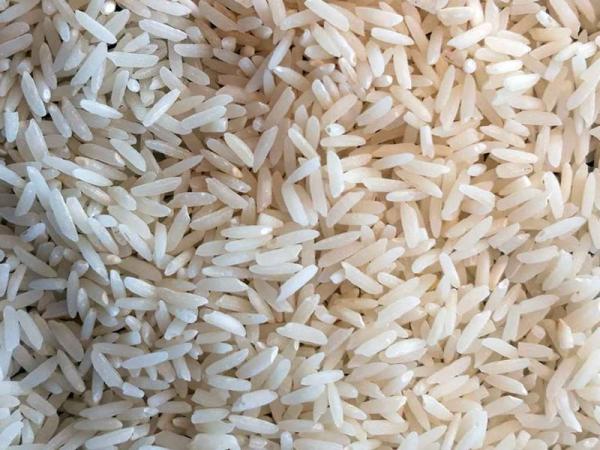 قیمت برنج شوشتر + خرید و فروش