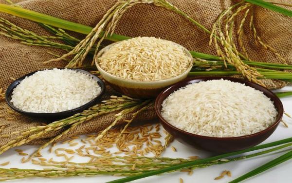 قیمت برنج ندا خوشپخت + خرید و فروش