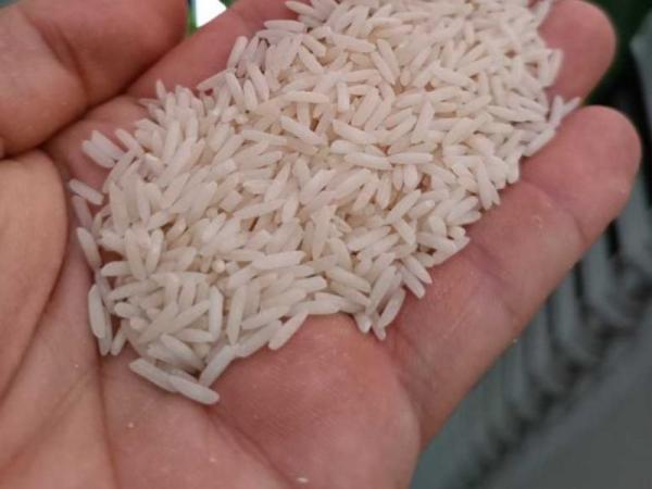 خرید برنج عنبربو درجه یک
