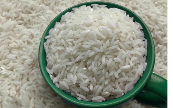 قیمت برنج هاشمی رودسر + خرید و فروش