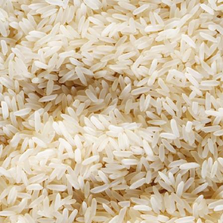 برنج دم سیاه آستانه اشرفیه