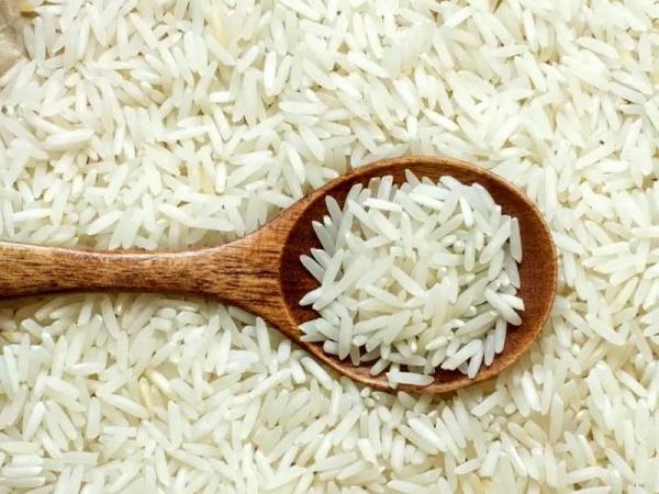 مشخصات برنج میداوود