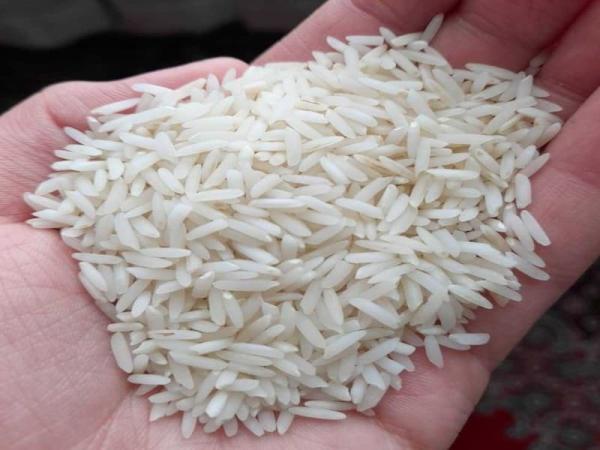 قیمت برنج میداوود + خرید و فروش
