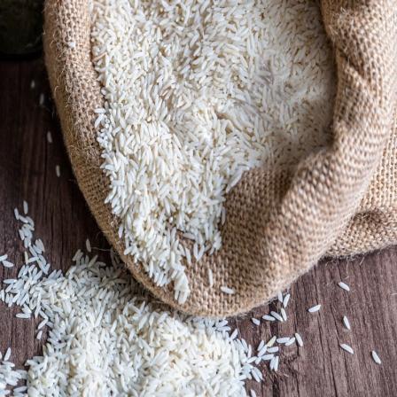 مشخصات برنج دم سیاه رشت