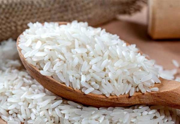 قیمت برنج هاشمی لنگرود + خرید و فروش
