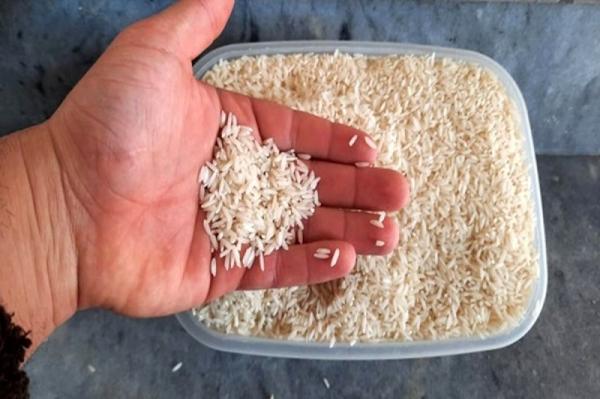 قیمت برنج هاشمی + خرید و فروش