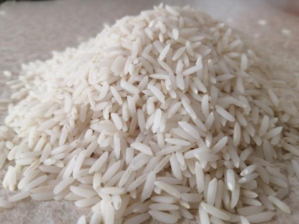 برنج میداوود رامهرمز