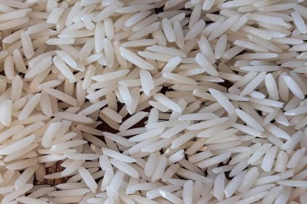 قیمت برنج دم سیاه اصل + خرید و فروش