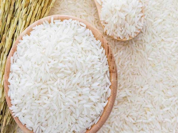 قیمت برنج عنبربو در کرج + خرید و فروش