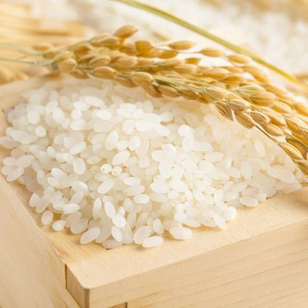 قیمت برنج نیم دانه عنبربو + خرید و فروش