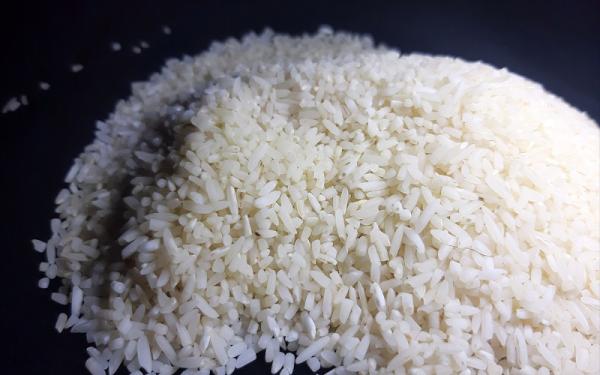 قیمت برنج هاشمی پاکوتاه + خرید و فروش