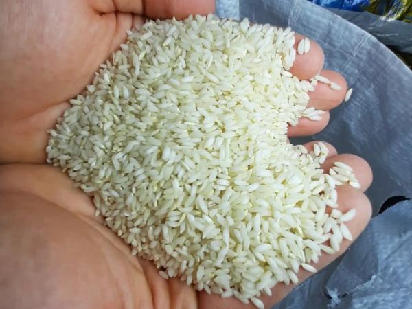 قیمت برنج عنبربو معطر + خرید و فروش