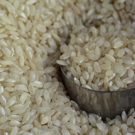 خرید برنج نیم دانه عنبربو